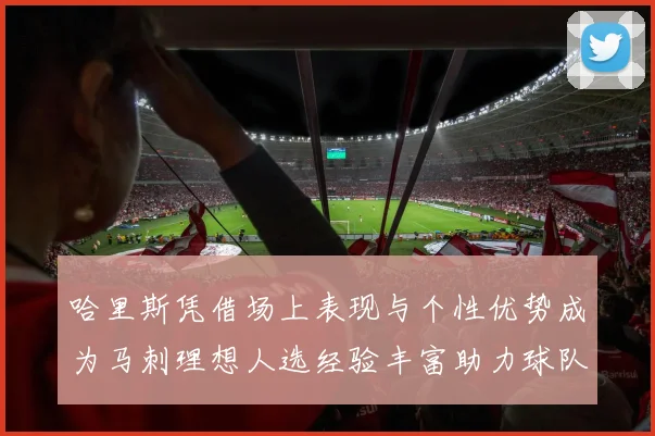 哈里斯凭借场上表现与个性优势成为马刺理想人选经验丰富助力球队发展