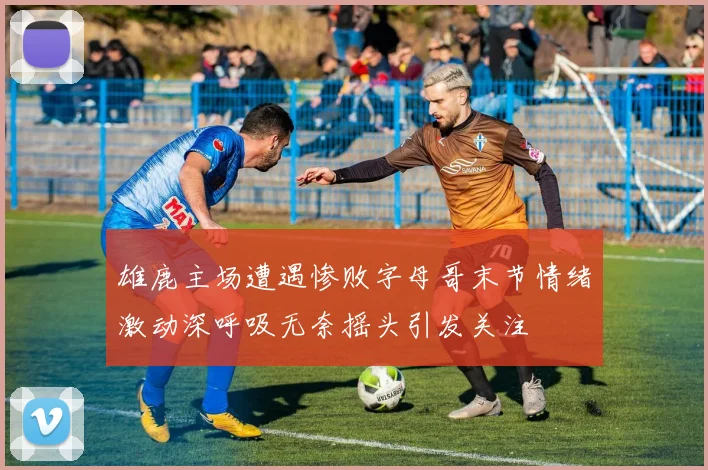 雄鹿主场遭遇惨败字母哥末节情绪激动深呼吸无奈摇头引发关注